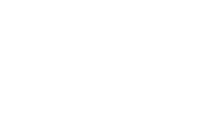 High Impact Nonprofit